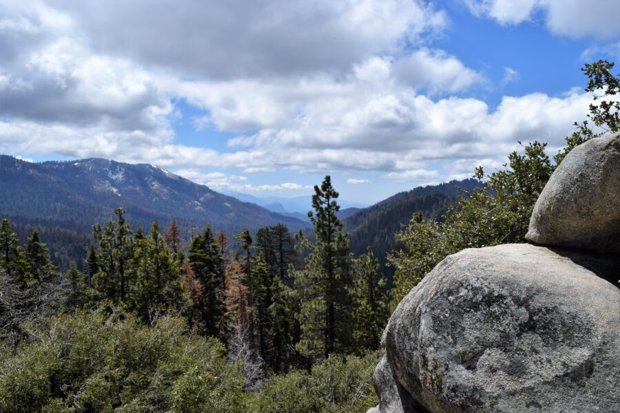 Discover the Wonders of Sequoia National Park